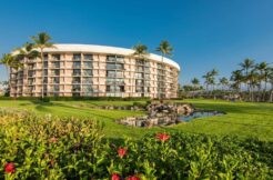 The Hilton Elara & The Hilton Ocean Tower –