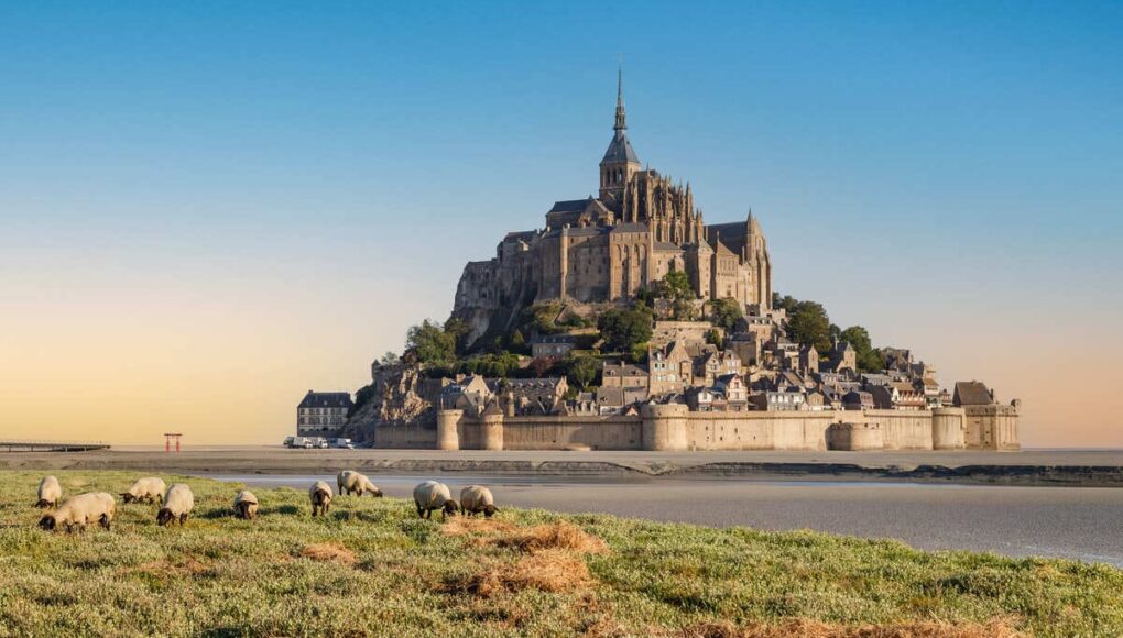 Mont Saint Michel Seen From A Sheep Farm During High Tide, France