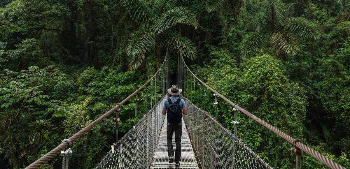 Tourist Walking A Suspended Bridge Through A Cloud Forest In Costa Rica, Central America